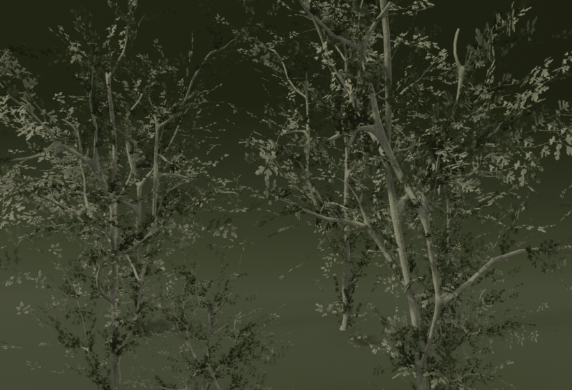 hawthorn_tree3d_model_for_download_sample_render