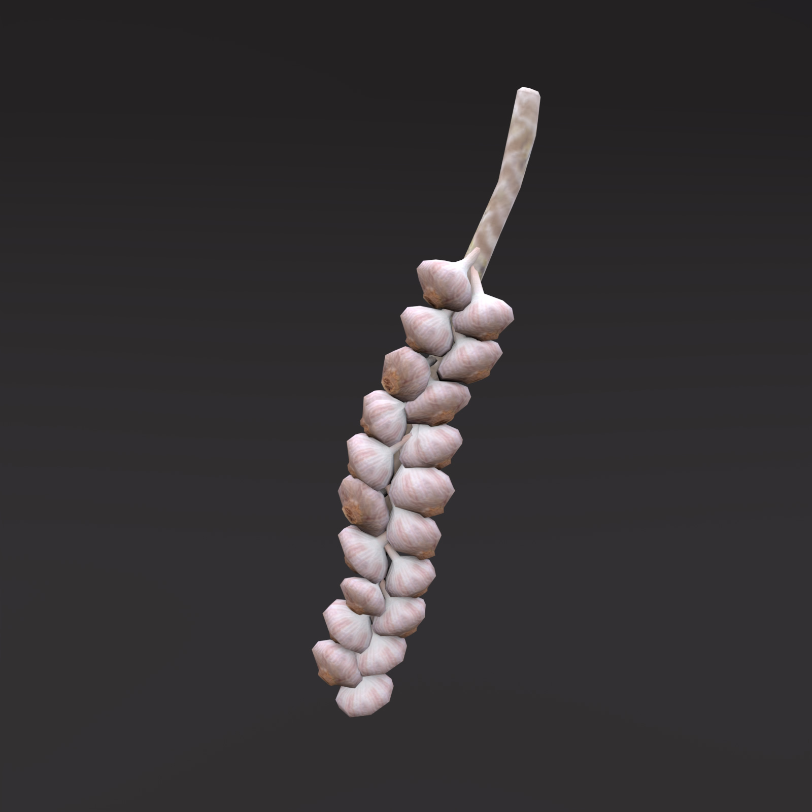 Garlic Braid 3 garlic 3d model low poly game ready prev2 bg