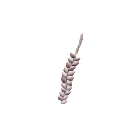 garlic braid 3d model low poly game ready asset