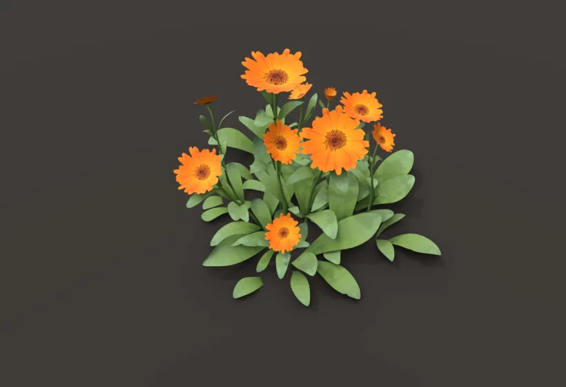 calendula marigold 3D model low poly game ready for Blender Cryengine Unity Unreal