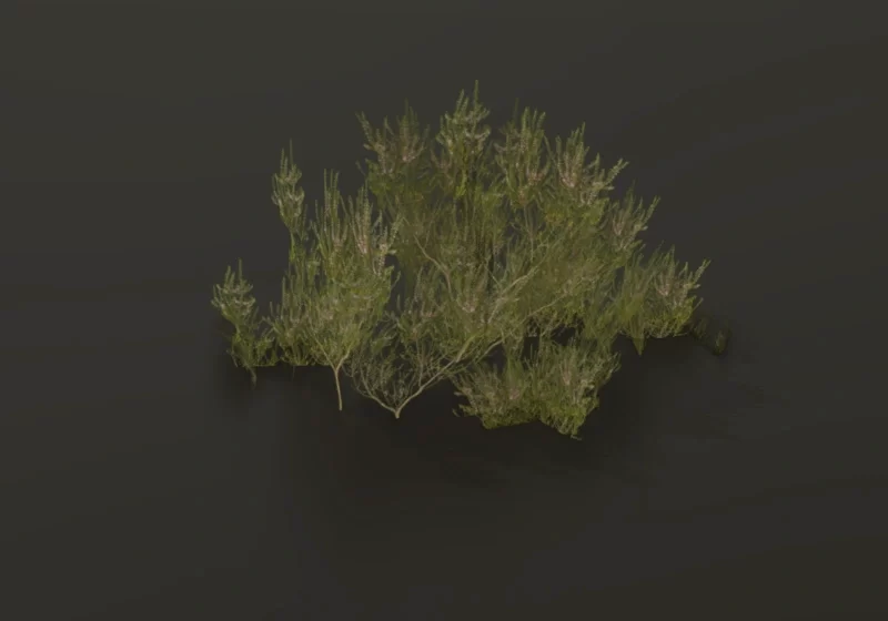Heather bush 3D model game ready asset for Cryengine Unity Godot foliage