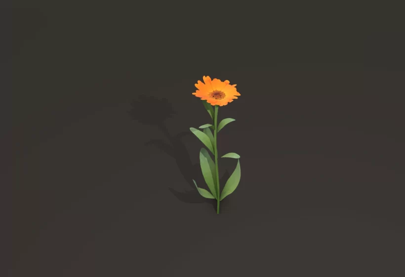 large flower for game dev calendula nagietek marigold 3D model