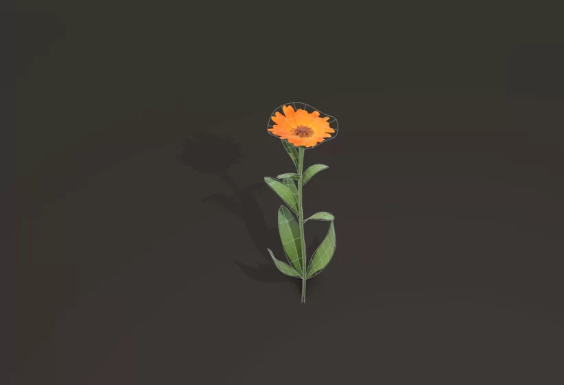 realistic low poly 3D calendula flower asset for games Blender Cryengine wireframe